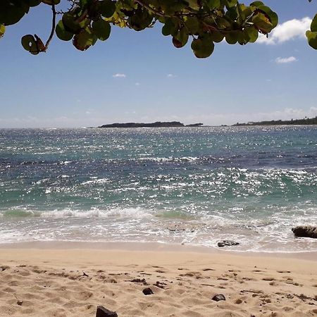 圣安娜Fleur Des Caraibes公寓 外观 照片