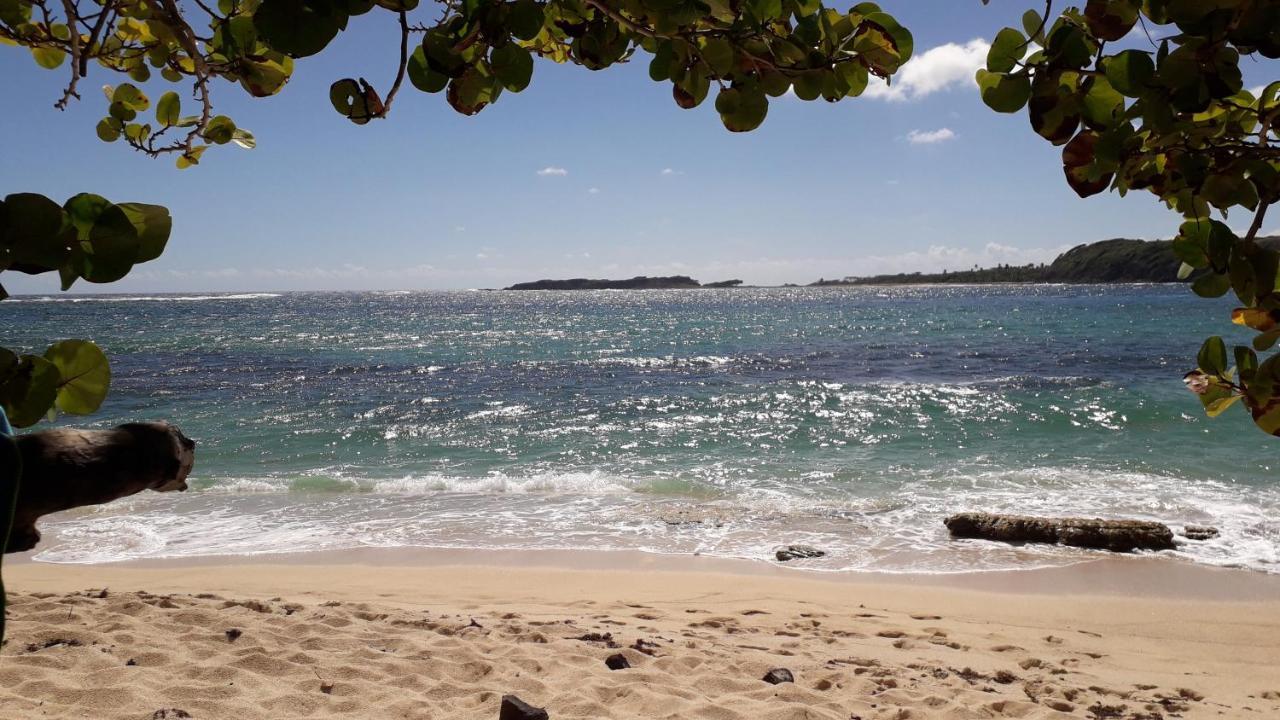 圣安娜Fleur Des Caraibes公寓 外观 照片